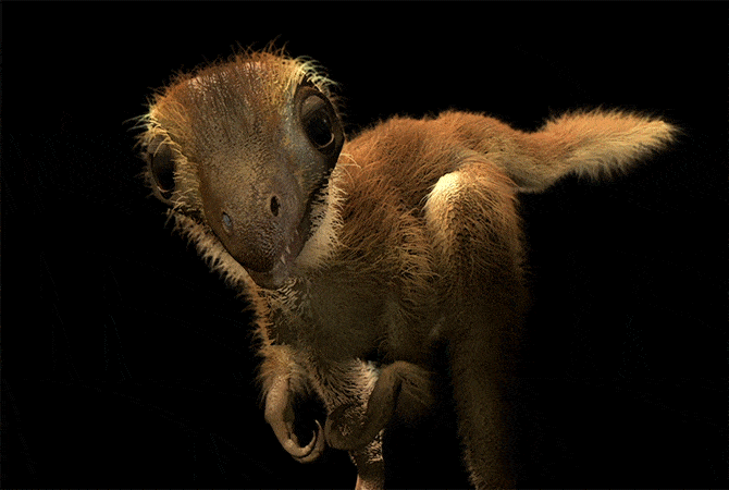 Baby T. Rex Was an Adorable Ball of Fluff – Live Science
