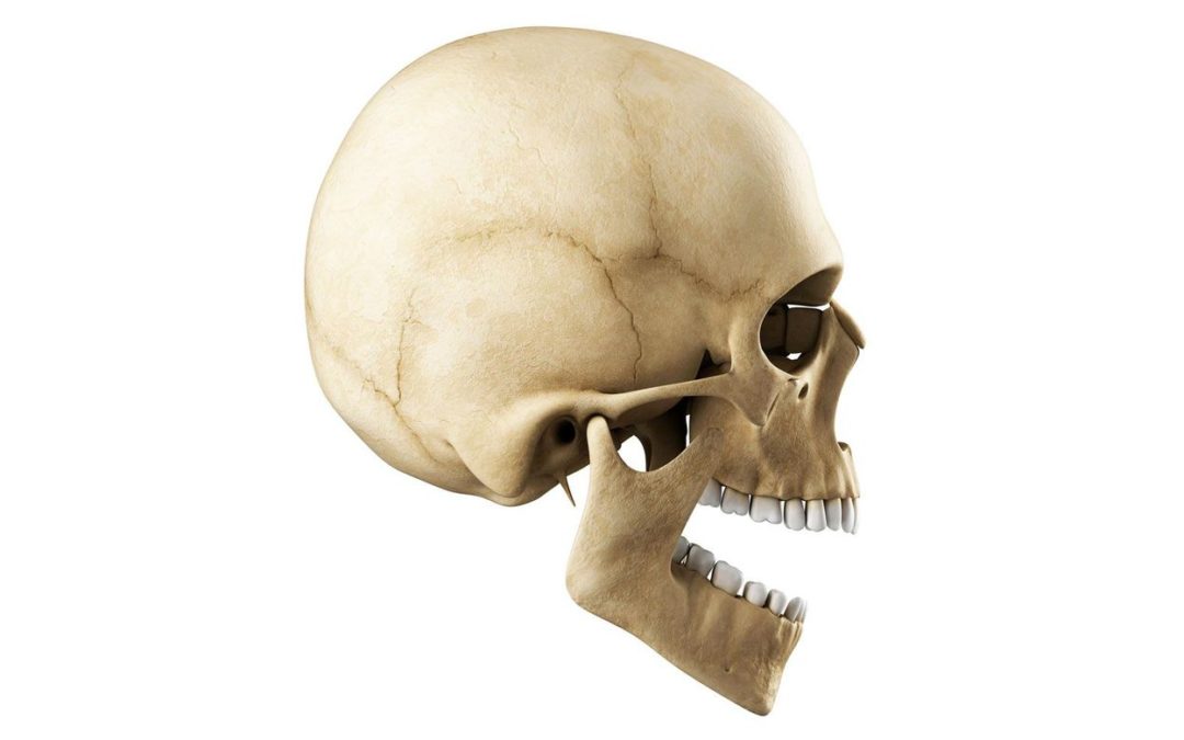The Ability to Pronounce “F” and “V” Sounds Might Have Evolved Along With Diet – Smithsonian