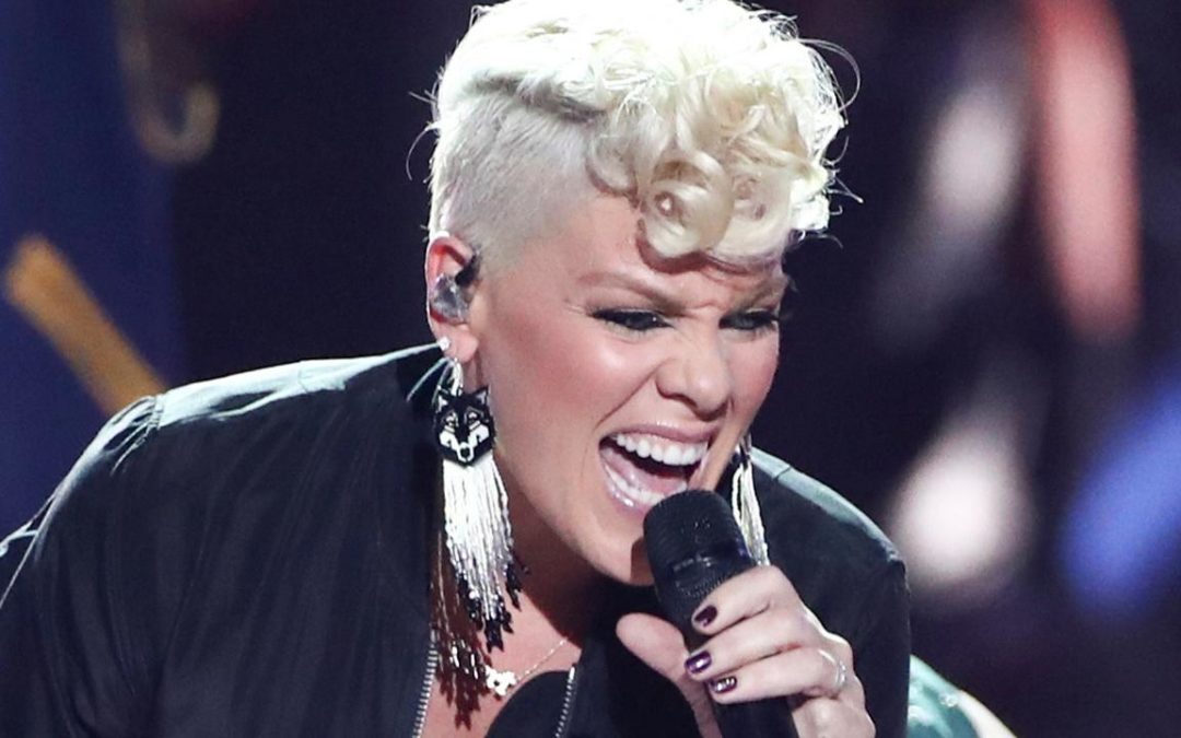 Pink fires back at ‘trolls’ who criticized post of son, 2, without diaper