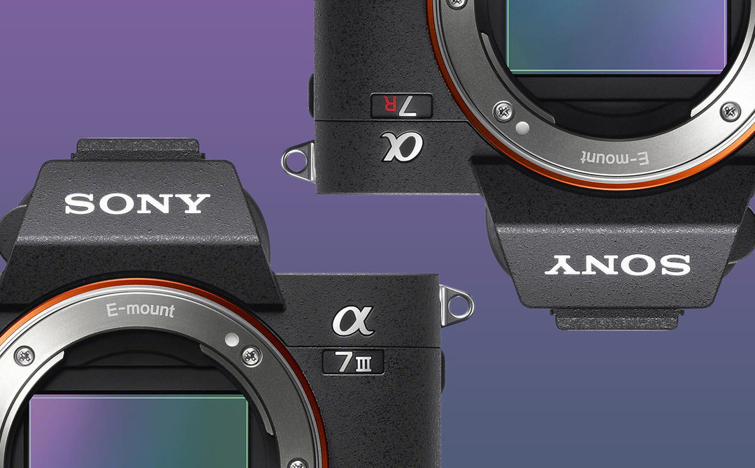 Sony Releases Firmware 3.0 for a7R III and a7 III Cameras With Animal Eye AF, Time-Lapse Mode – Fstoppers