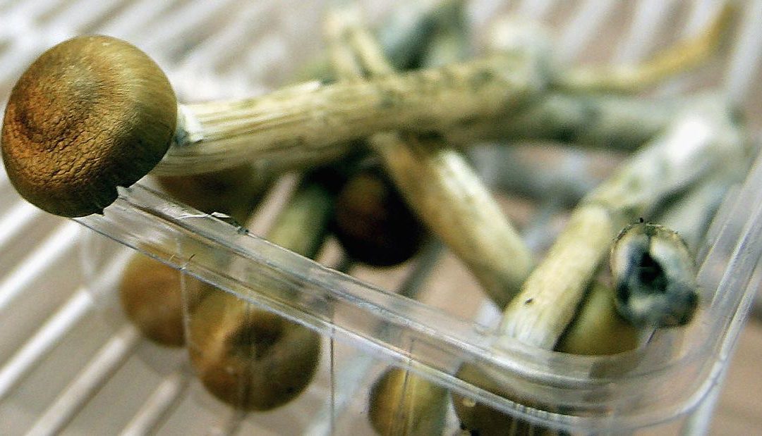 Denver becomes the first city to decriminalize hallucinogenic mushrooms – CNN
