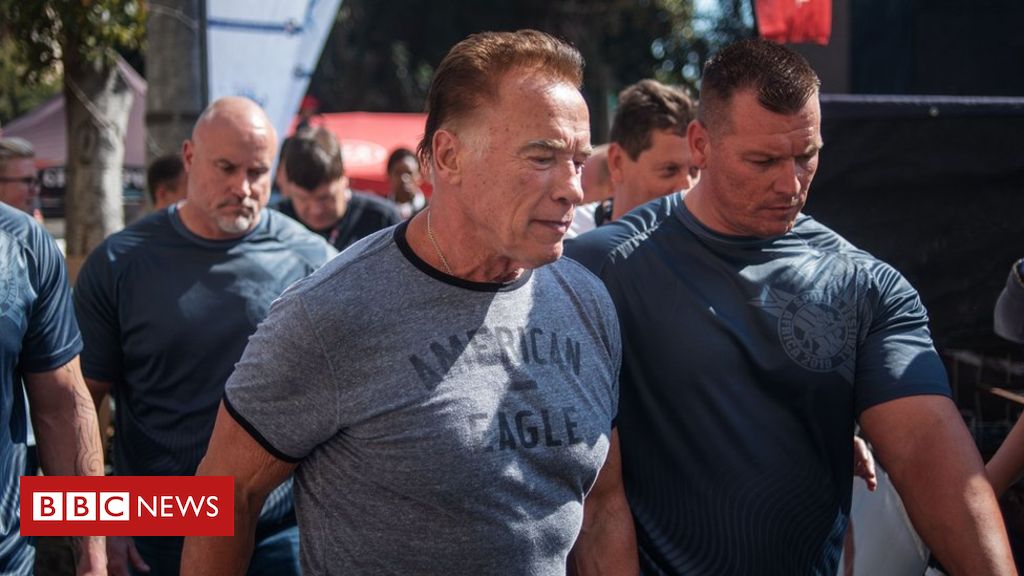 Schwarzenegger attacked in South Africa