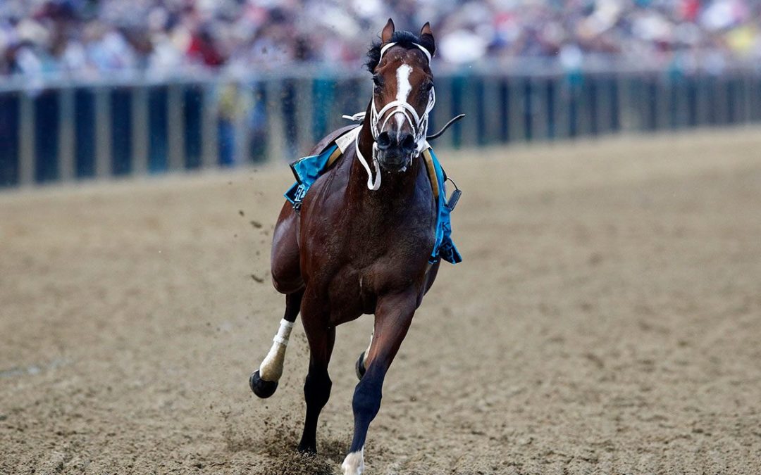 Bodexpress throws jockey, steals the show at Preakness Stakes