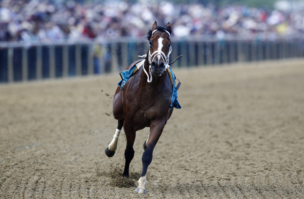 Riderless horse steals show at Preakness Stakes – AOL