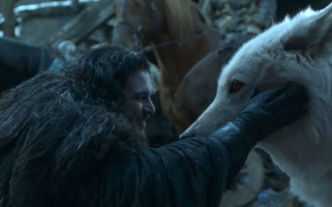 Twitter reacts to Jon and Ghost’s tender moment in “The Iron Throne” – Winter is Coming