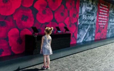 The Poppy Wall of Honor opens to the public on the National Mall