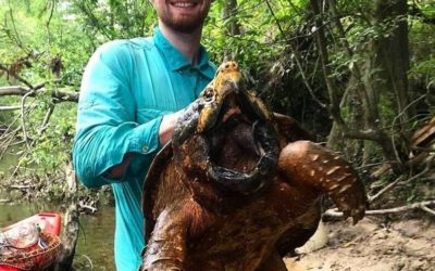 Mississippi man finds huge alligator snapping turtle, sets county record