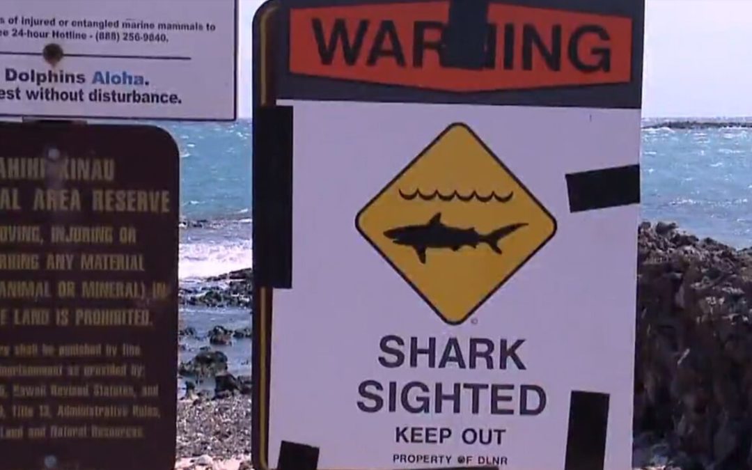 Man killed in Hawaii shark attack, witness says skin ‘just torn off’