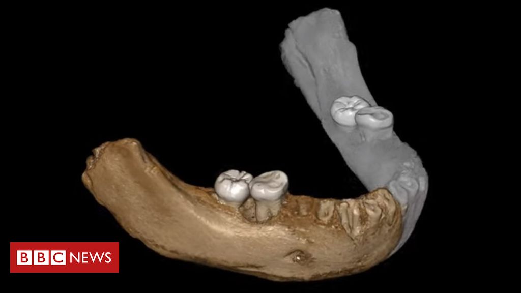 Primitive humans lived at high altitudes