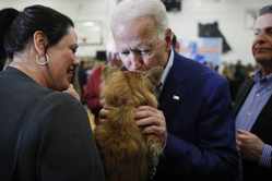 Biden News Coverage Goes to the Dogs