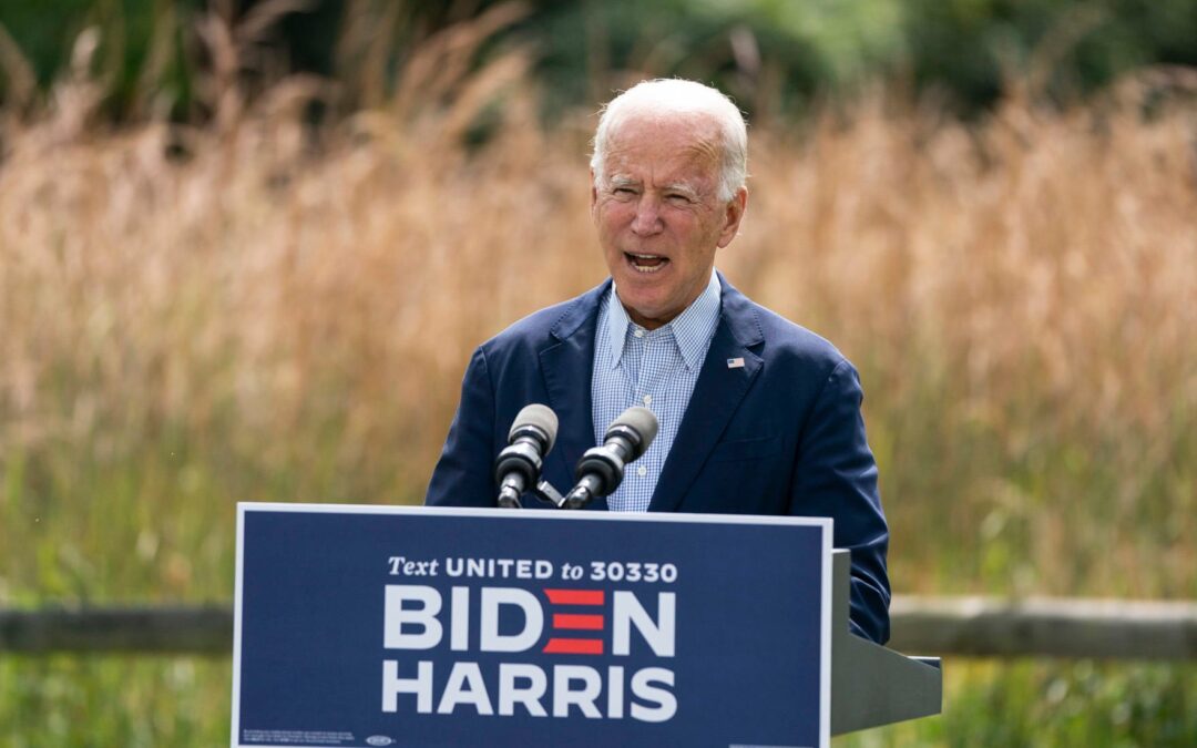 Despite Progressive Objections, Officials With Corporate Ties Slide Into Incoming Biden Administration