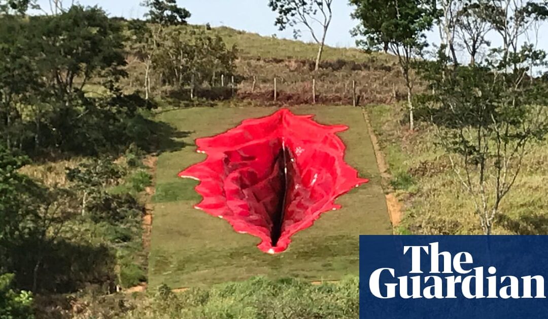 Giant vagina sculpture fuels culture wars in Brazil...