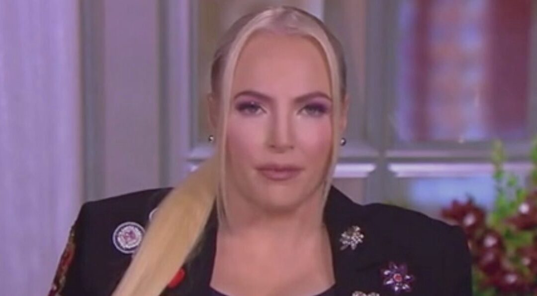 ‘I Fear Censorship’: Meghan McCain Warns ‘Five Dorks In Silicon Valley’ Have Too Much Power