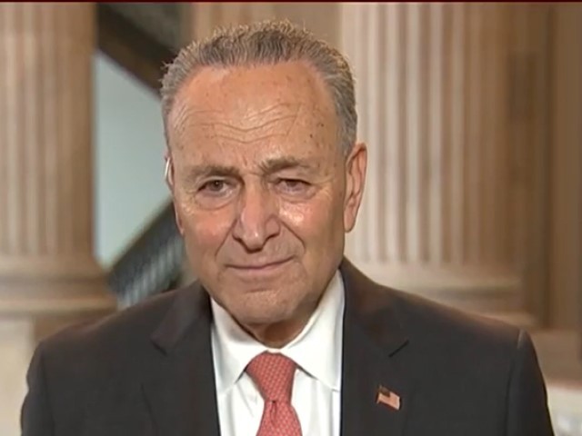 Schumer: We'll Move on COVID Relief without GOP if Need Be, 'Must Get It Done Quickly'