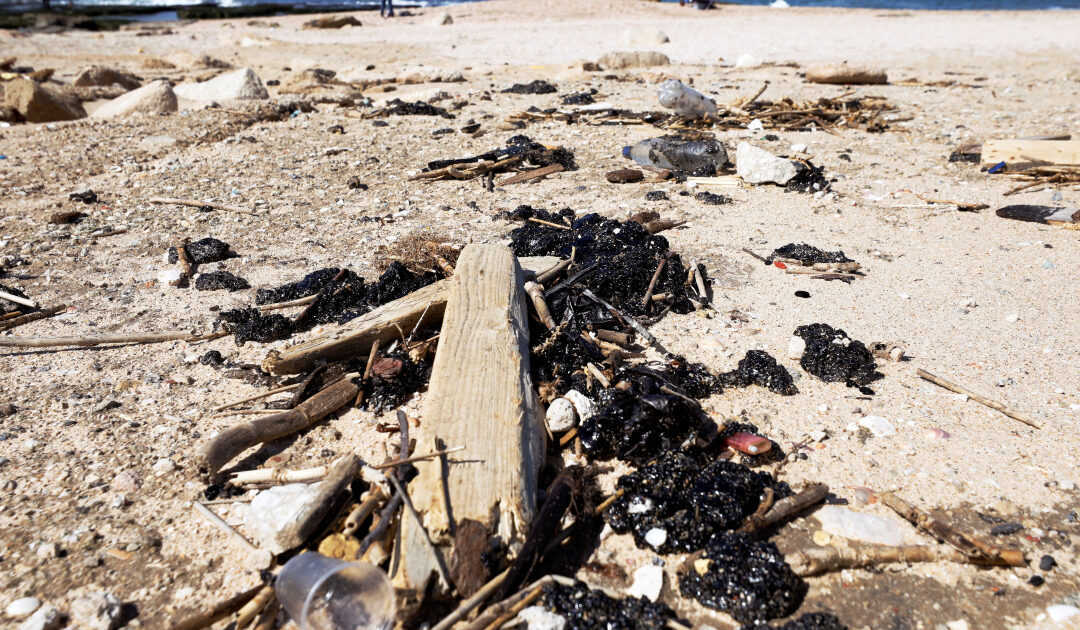 Israel shuts Mediterranean shore after oil spill devastates coast