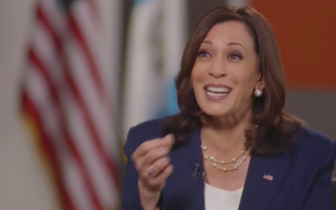 ‘I Don’t Understand The Point You’re Making’: Harris Deflects When Pressed By NBC On Absence At The Border