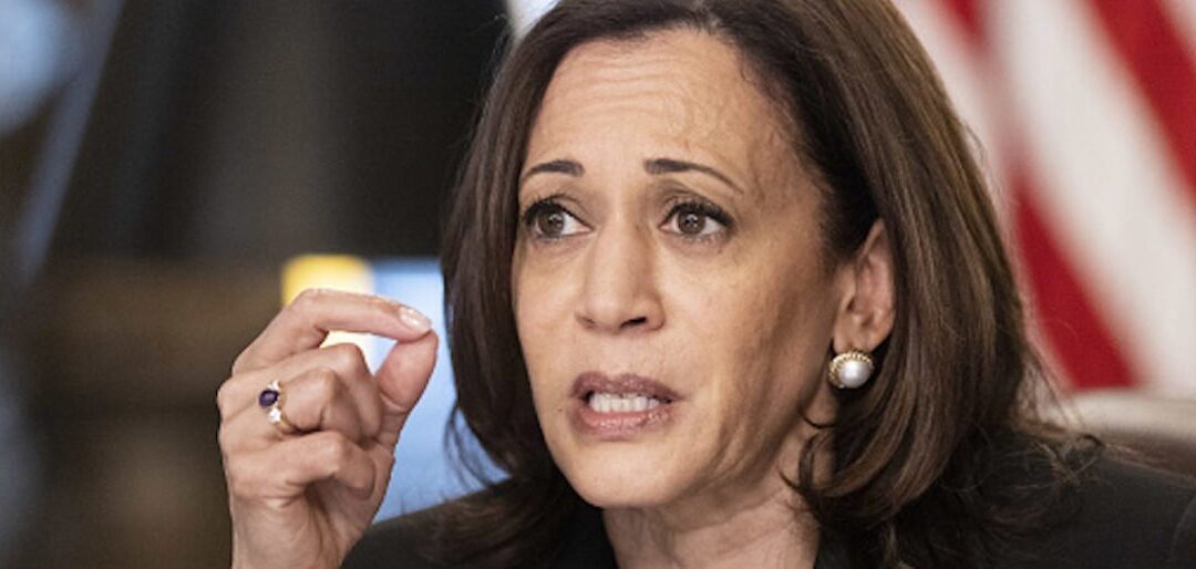 White House Reportedly ‘Perplexed’ By Kamala Harris’ First Foreign Policy Trip