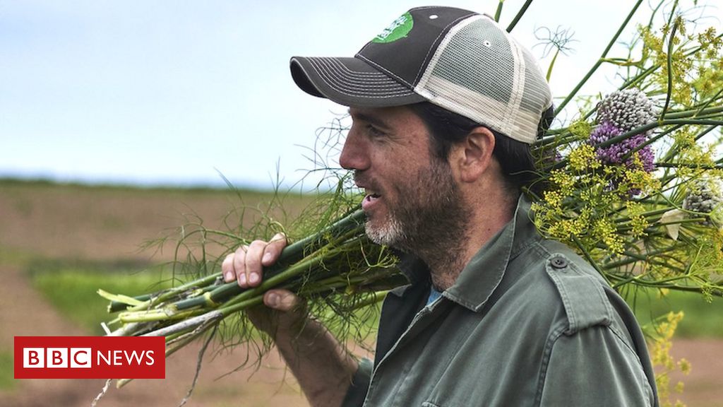 How farmers and scientists strive for more flavour