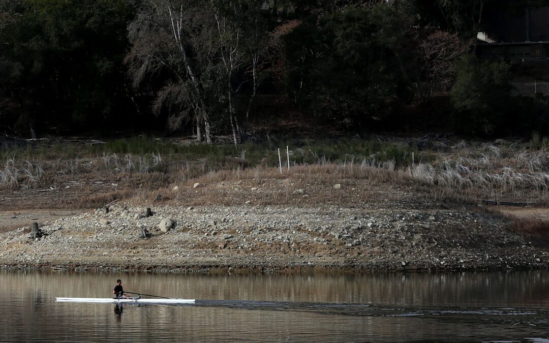 Mandatory water rules hit Bay Area...