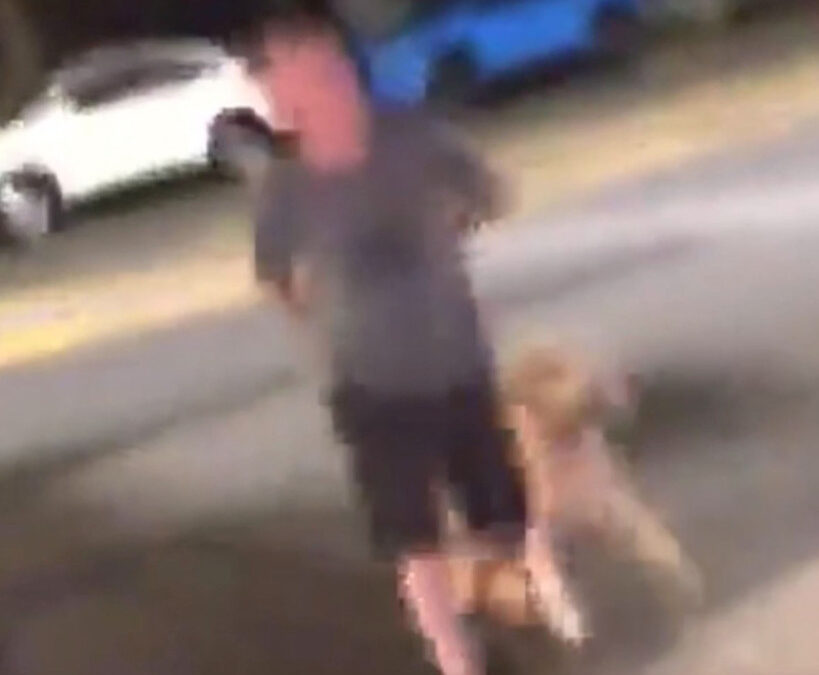 Disturbing video captures teen mob beat up NYC man out walking his dog