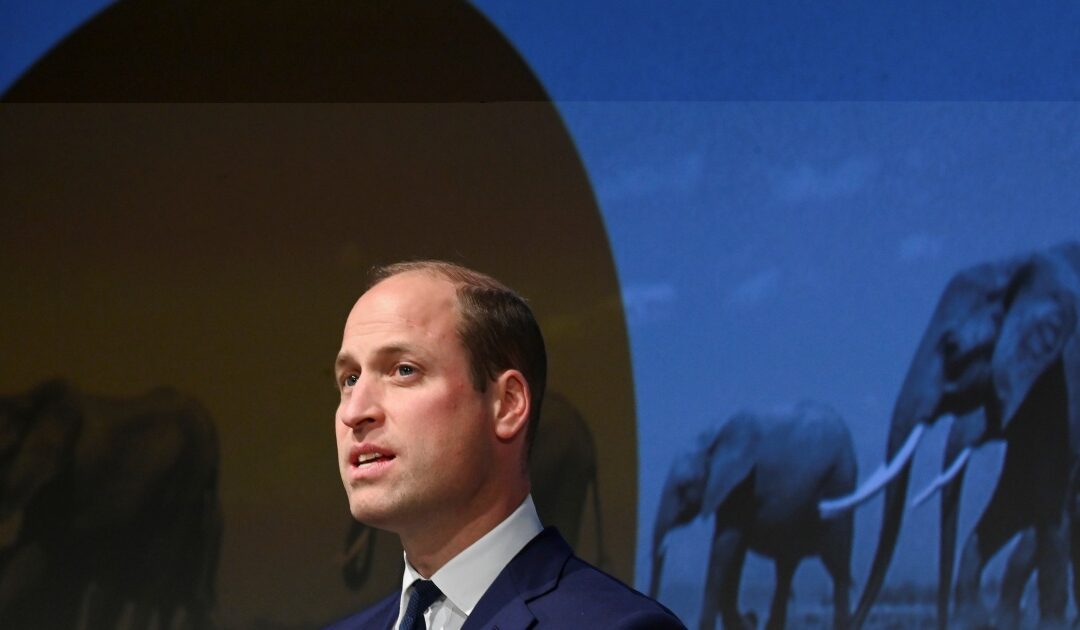 Prince William derided over Africa population growth remarks