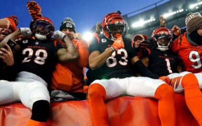 Bengals beat Raiders to end 31-year play-off drought