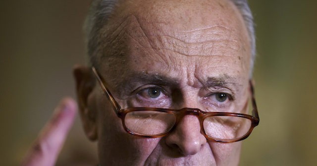 Chuck Schumer Lobbying for 'at Least $12 Billion' in Ukraine Aid to 'Win the War'