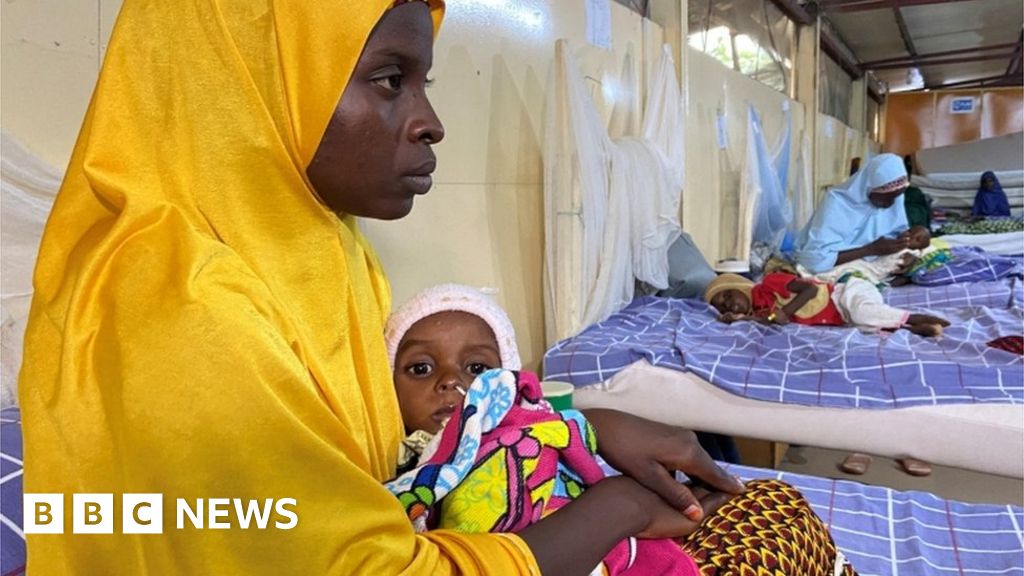 Nigeria Boko Haram crisis: The women walking miles to save their children's lives