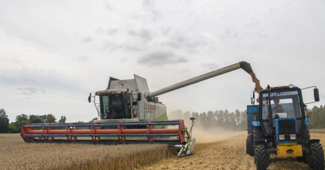 2022: The Year Food and Energy Security Fears Hit Europe