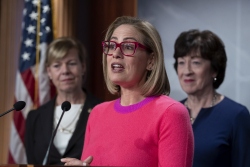 Sinema Has Doubts About the Threat to Democracy