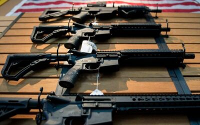 Judge Temporarily Blocks Illinois Ban on Commonly Owned Semiautomatic Rifles