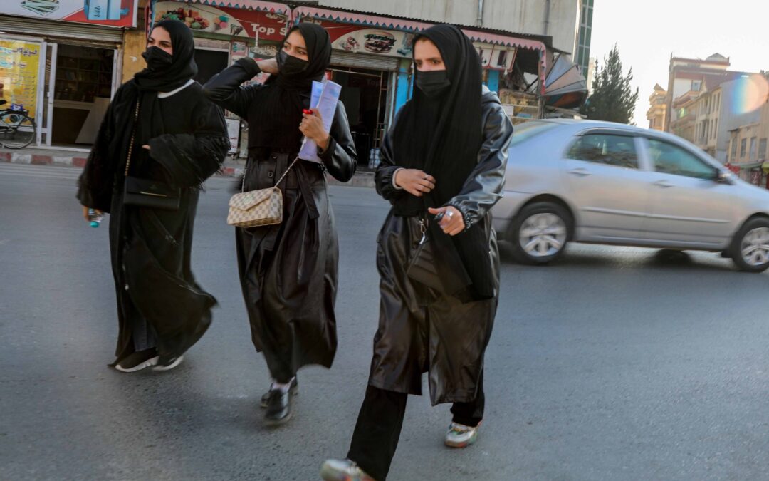 Taliban working on guidelines for women NGO workers: UN says