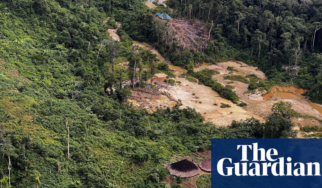 Brazilian Amazon at risk of being taken over by mafia...