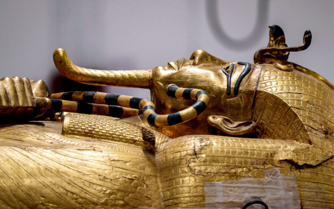 King Tut's 'pharaoh's curse' found to be ancient germs in tomb?