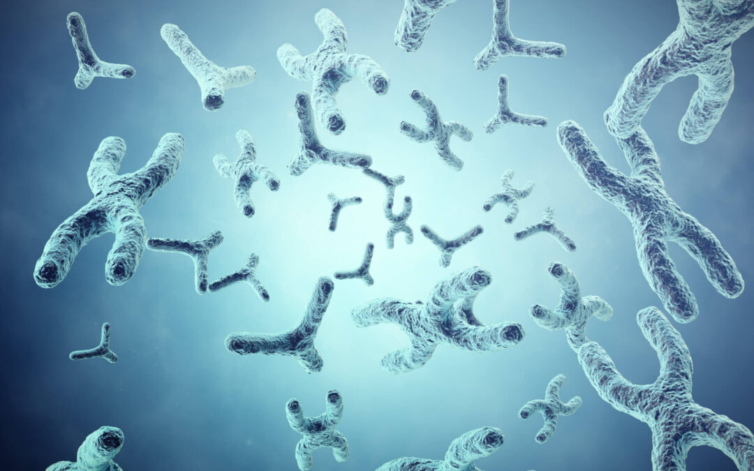 Scientists Create Artificial Human Chromosomes In Landmark Genetic Feat...