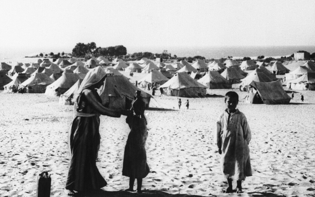 Beit Daras and Gaza: An intergenerational tale of struggle against erasure