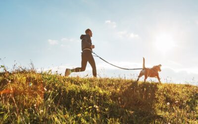 10 dog gear items your dog needs this spring