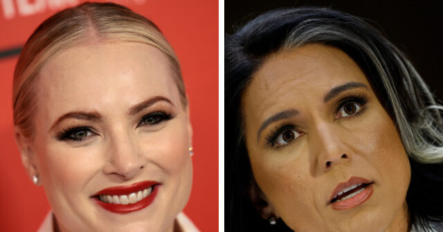 Meghan McCain Vows to Make It Her 'Personal Mission' to Campaign, Fundraise Against Senators Voting Against Tulsi Gabbard's Confirmation
