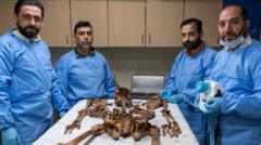 'This will be the work of years': The medics identifying remains from Syria's mass graves