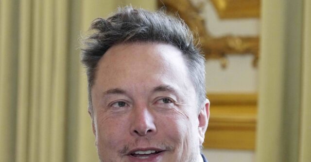 Marlow on Musk v. Trump: Elon's Political Instincts Stink, He Has 'No Stroke' in Washington