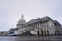 Democrats Should Get Their House in Order, Admit Errors