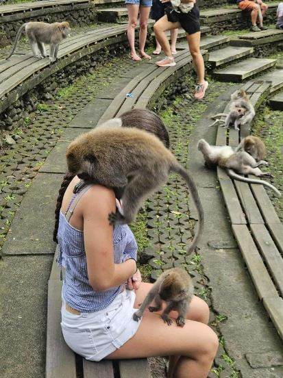 VACATION RABIES HORROR: MONKEY BITES GIRL ON NECK...