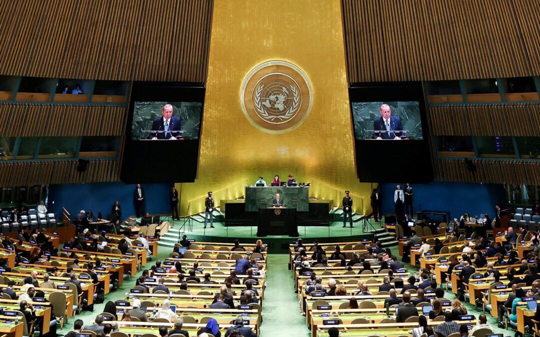 How well do you know UN terminology?