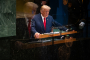 Trump's Diplomacy by Insult