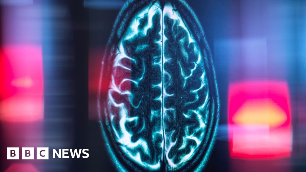 Scientists pinpoint brain’s internal mileage clock…