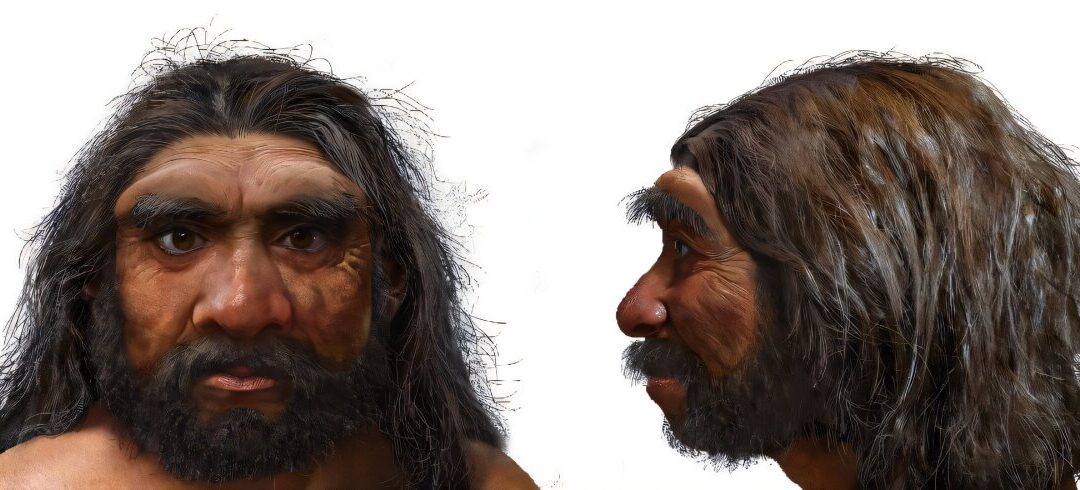 Million-year-old skull could change human evolution timeline...