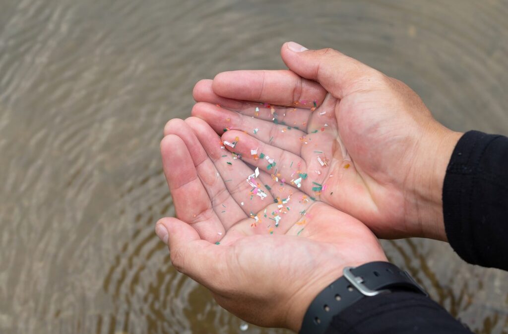 How many microplastics are you drinking? New study finds which types of drinks have highest concentration