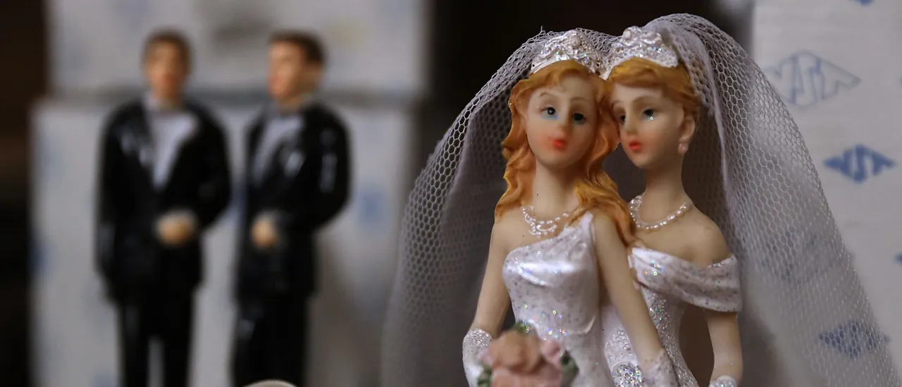WaPo Profiles Gayest Straight Marriage