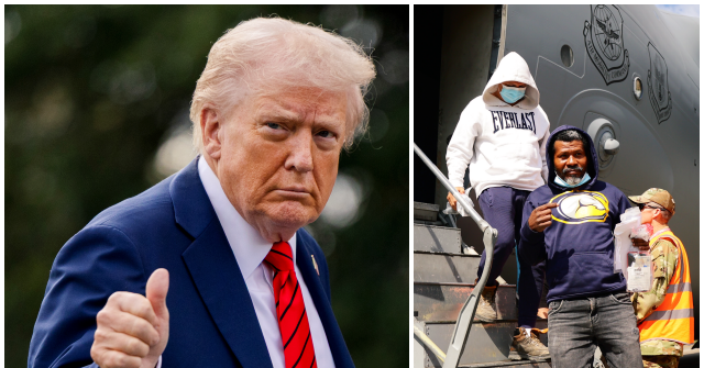 'Record-Breaking Statistics:' Over Half a Million Illegal Aliens Deported Since Trump Took Office