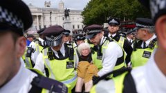 Police make 355 arrests at pro-Palestinian protest in London